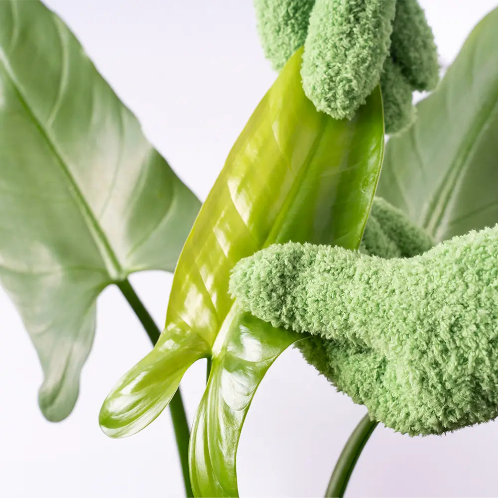 Plant Dusting Gloves