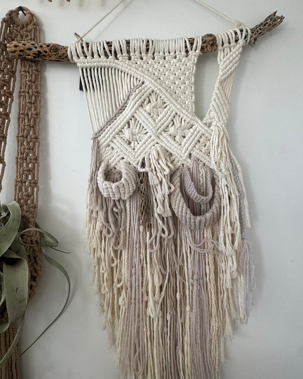 Cholla Macrame v1