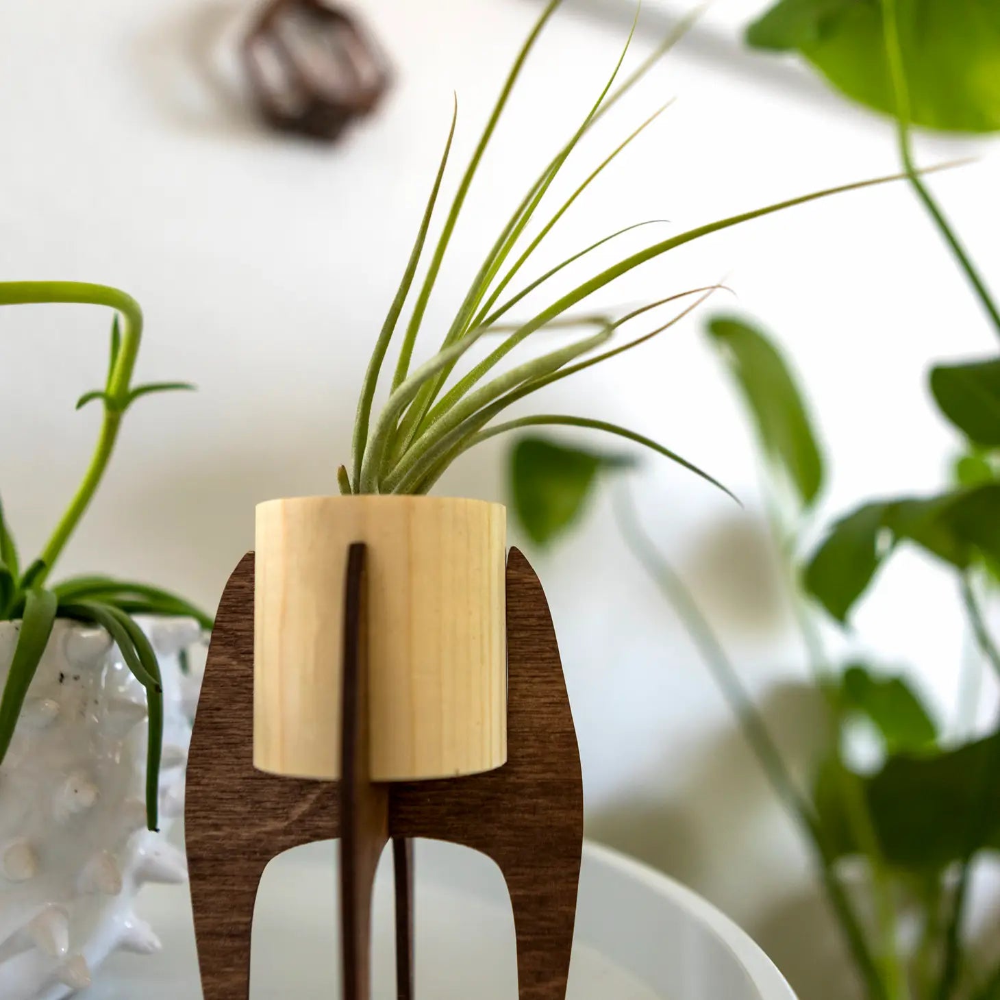 Mini Mid-Century Plant Stand - Grounded Bodyworks
