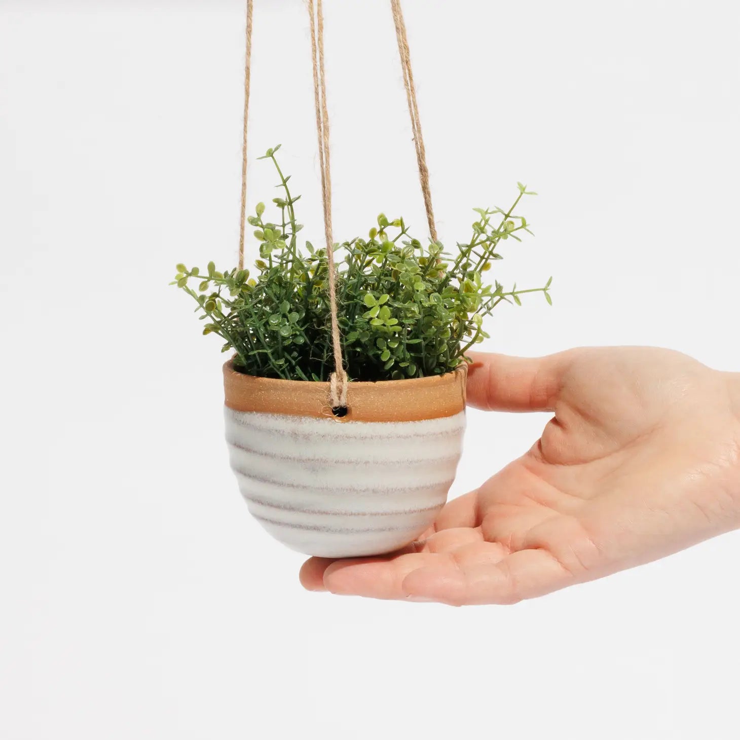 small hanging pot plants Small Hanging Planter