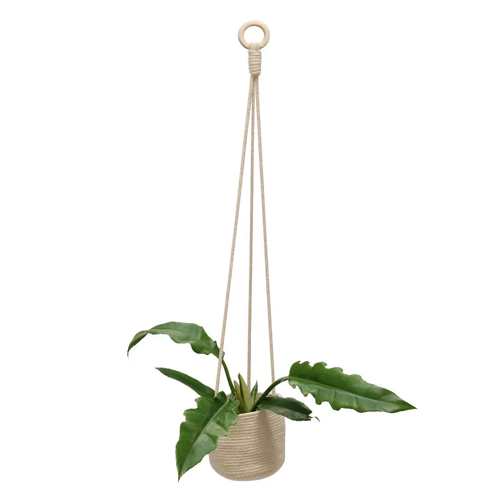 hanging rope planter 36