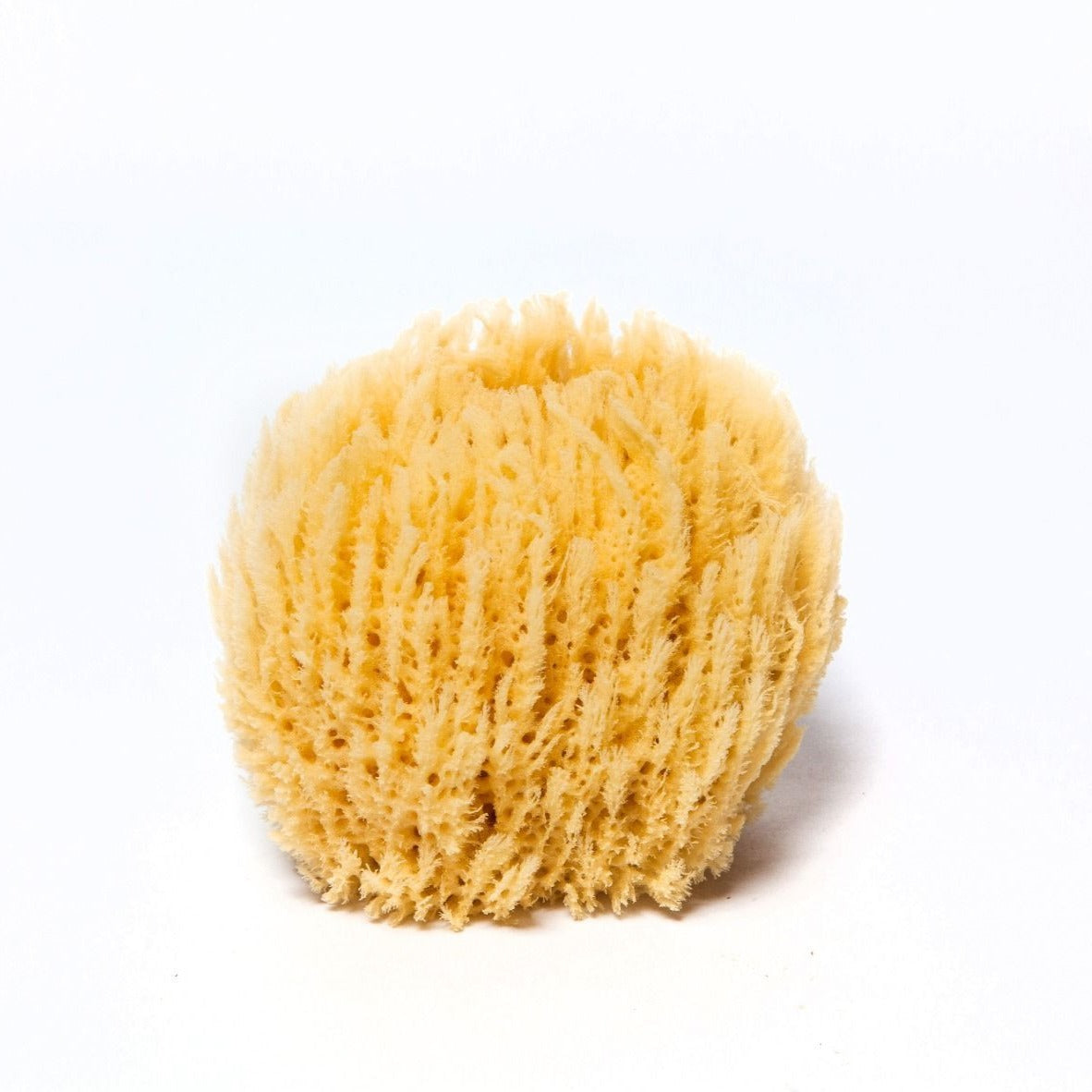 Mineral Sea Sponge – Bathing Culture