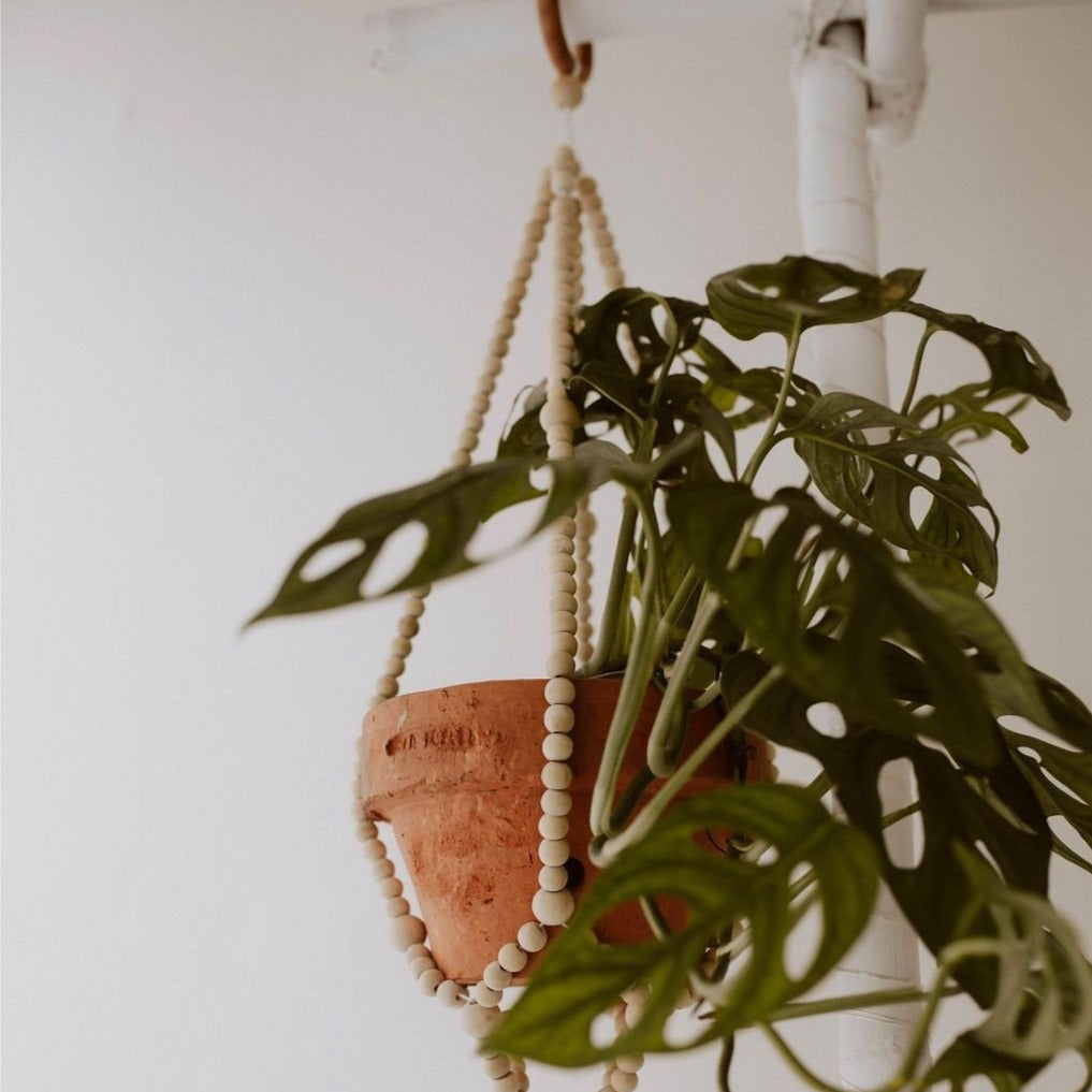 plant hanging holder Coffee Wood Beaded Plant Hanger