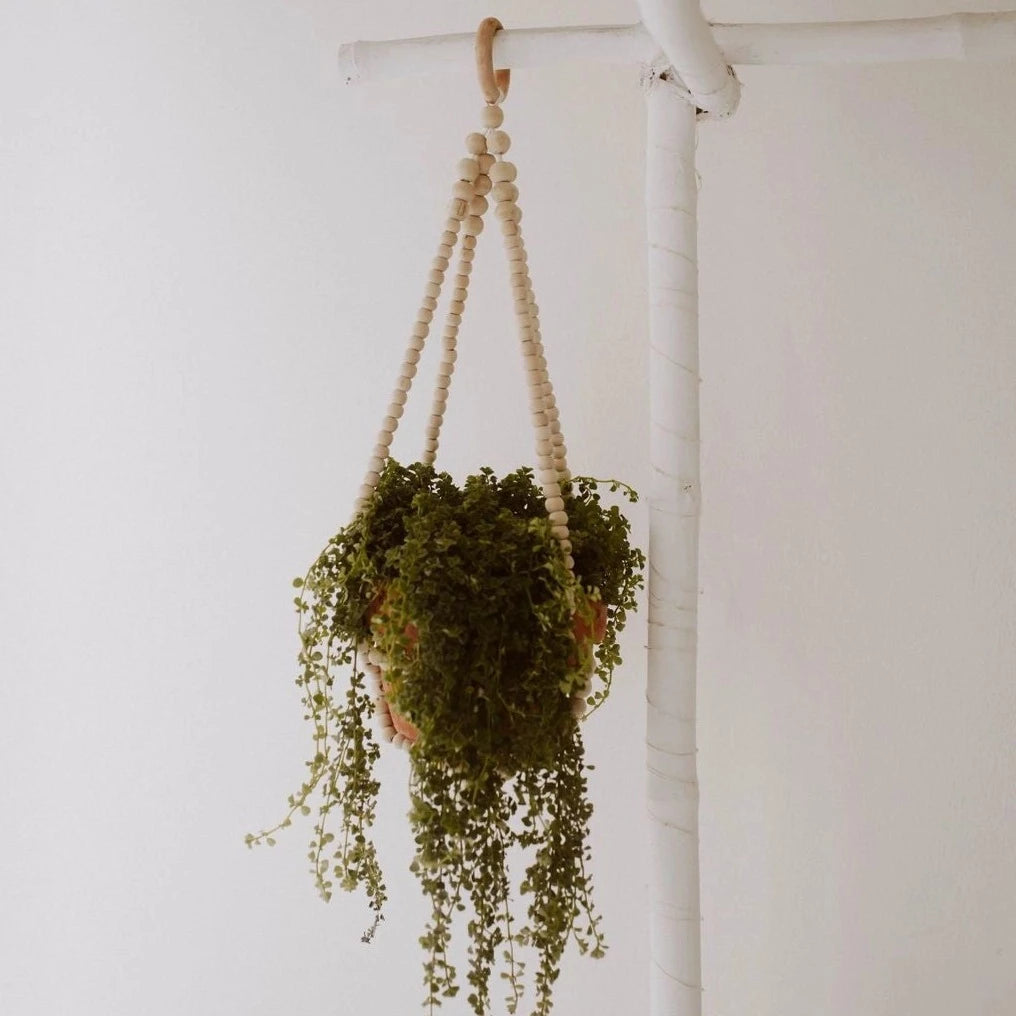 plant hanger wood Coffee Wood Beaded Plant Hanger