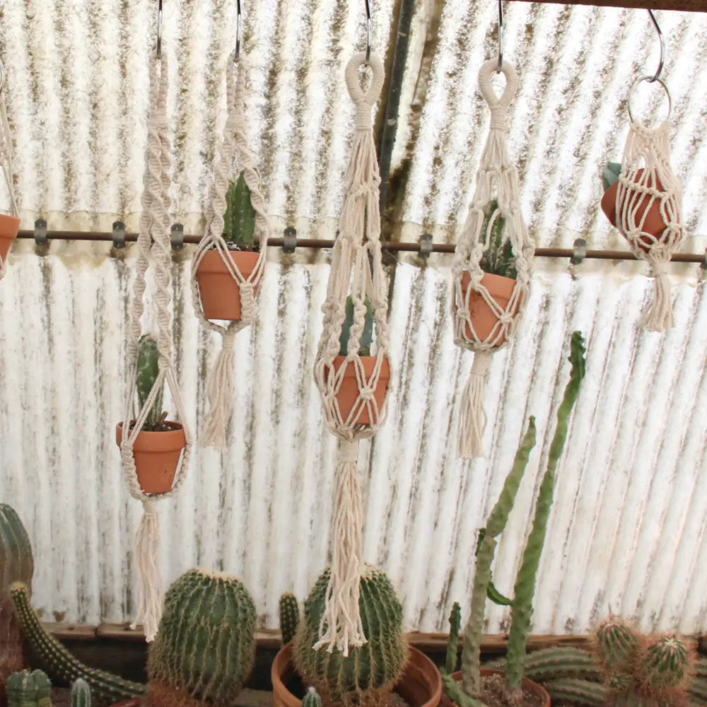 macrame plant hanger mini Mini Plant Hanger